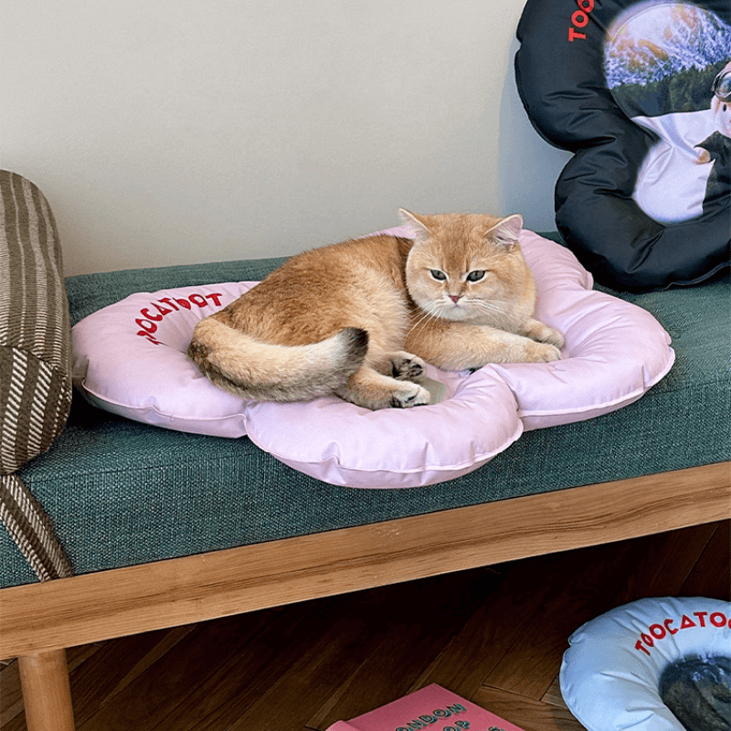 Summer Must-Haves for Cats: Keep Your Furry Friend Cool and Comfortable