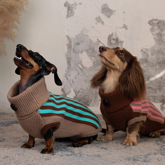 Dog Jumpers