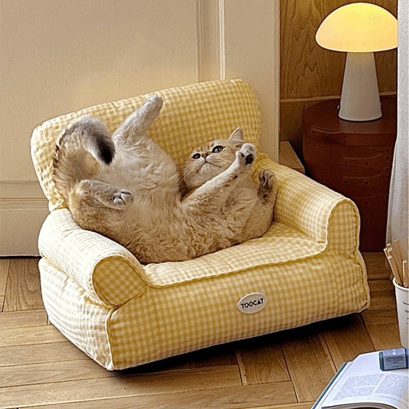 Bed & Cushion