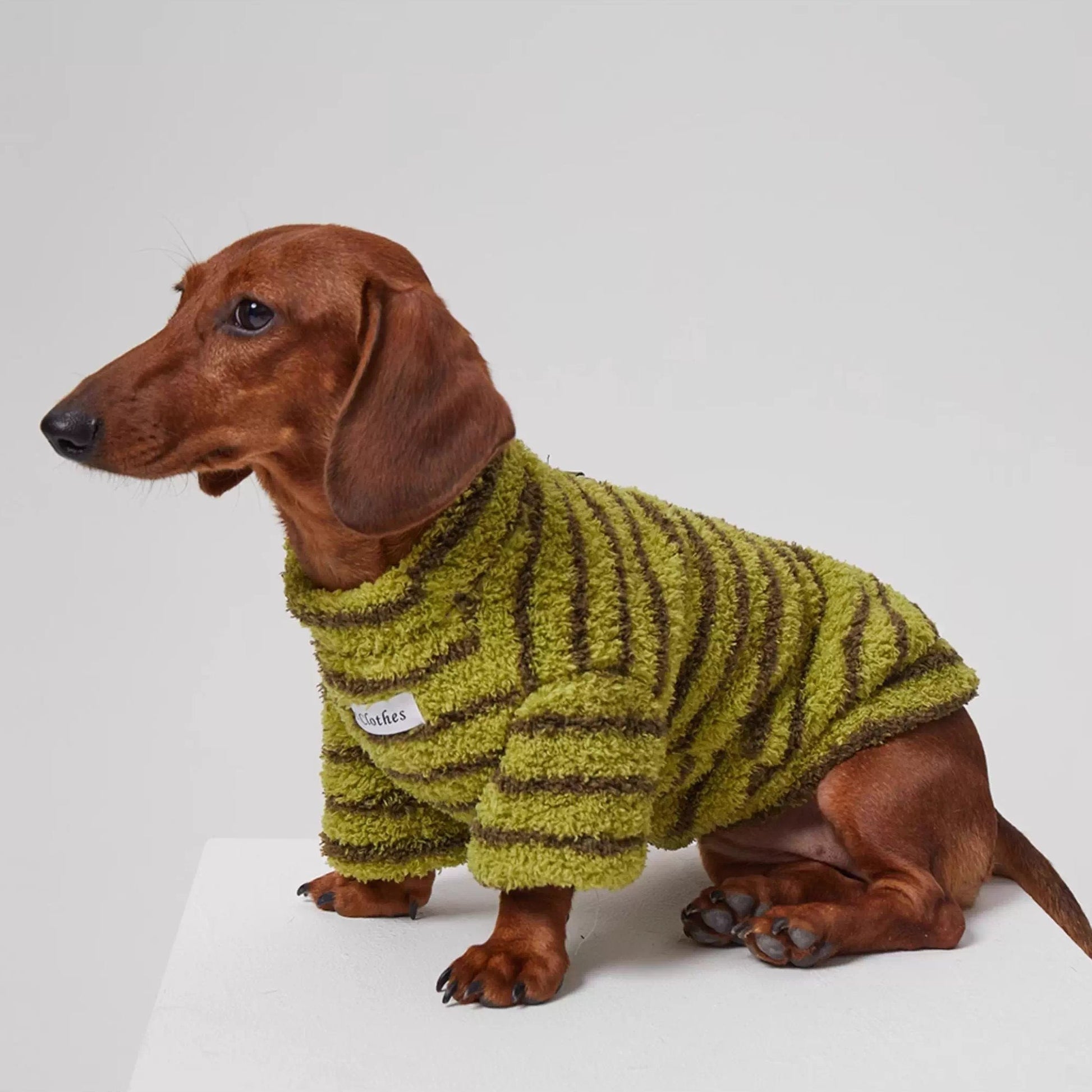 Dachshund Warm Striped Jumper