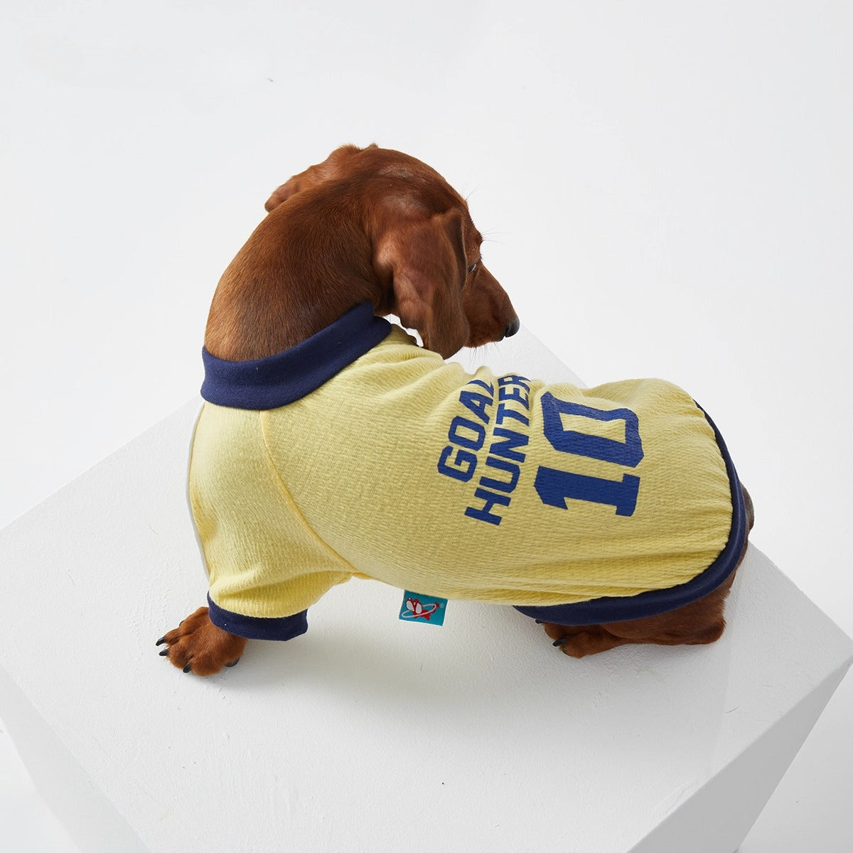 Dachshund Cozy Jersey Dog Sweatshirt