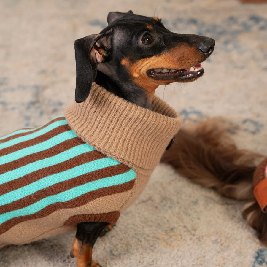 Dachshund Striped Turtleneck Warm Dog Jumper