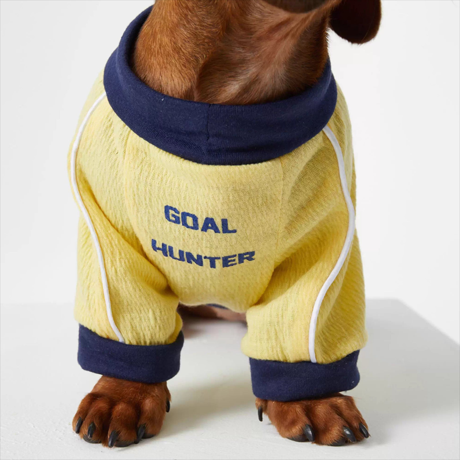 Dachshund Cozy Jersey Dog Sweatshirt