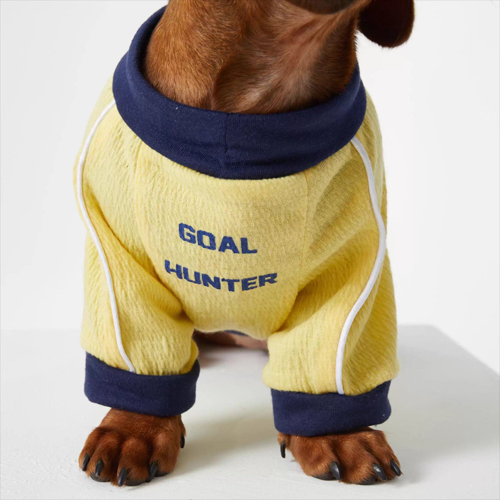 Dachshund Cozy Jersey Dog Clothes