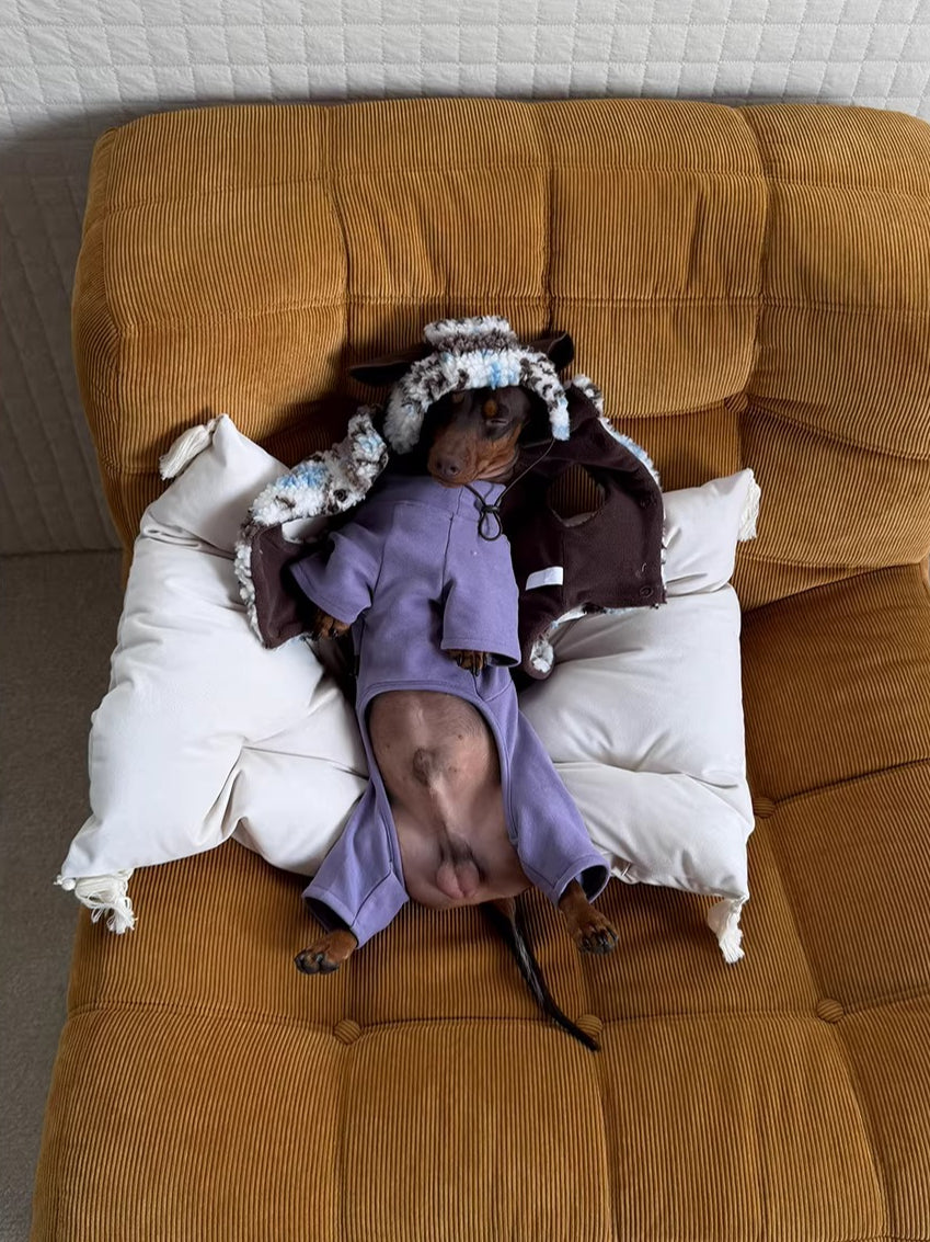 Fair Isle Dog Jumper and Hat