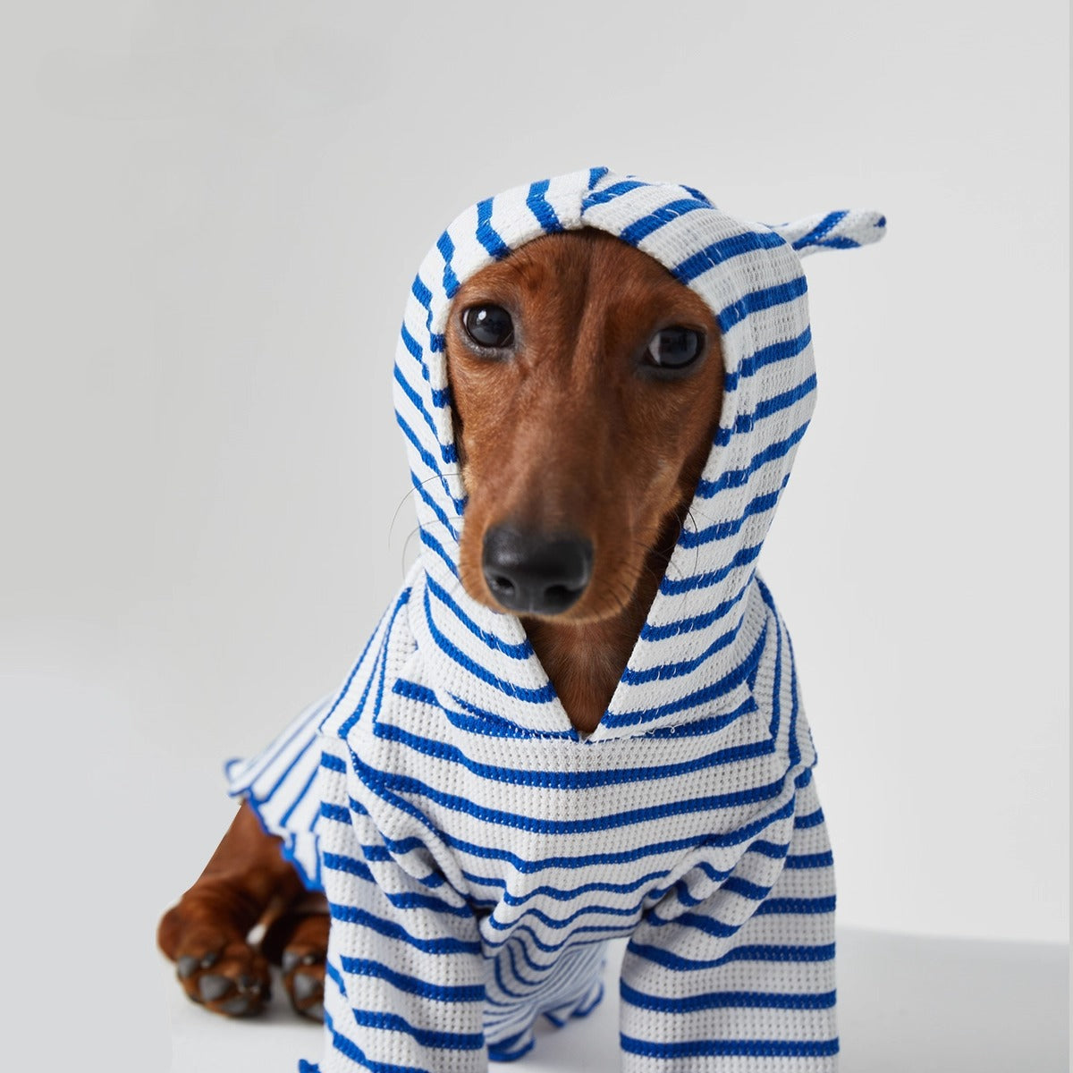 Dachshund Red & Blue Stripe Hoodie