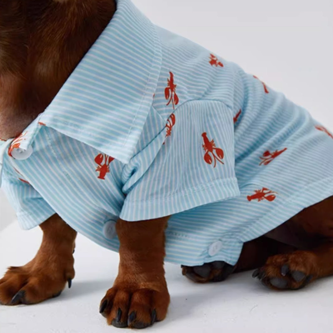 Dachshund Blue Stripe Polo Shirt