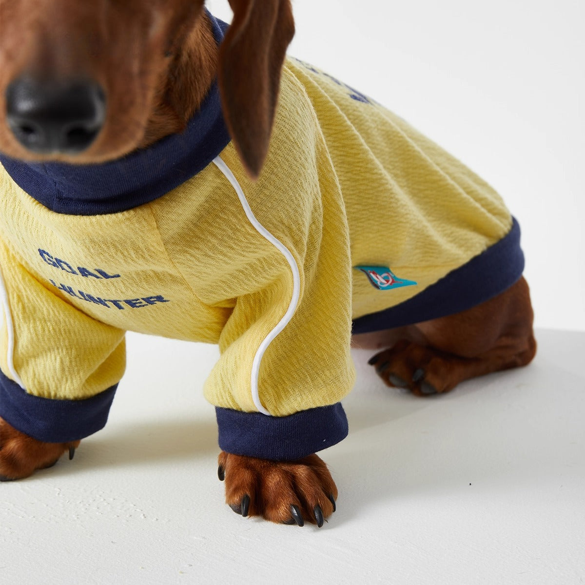 Dachshund Cozy Jersey Dog Clothes