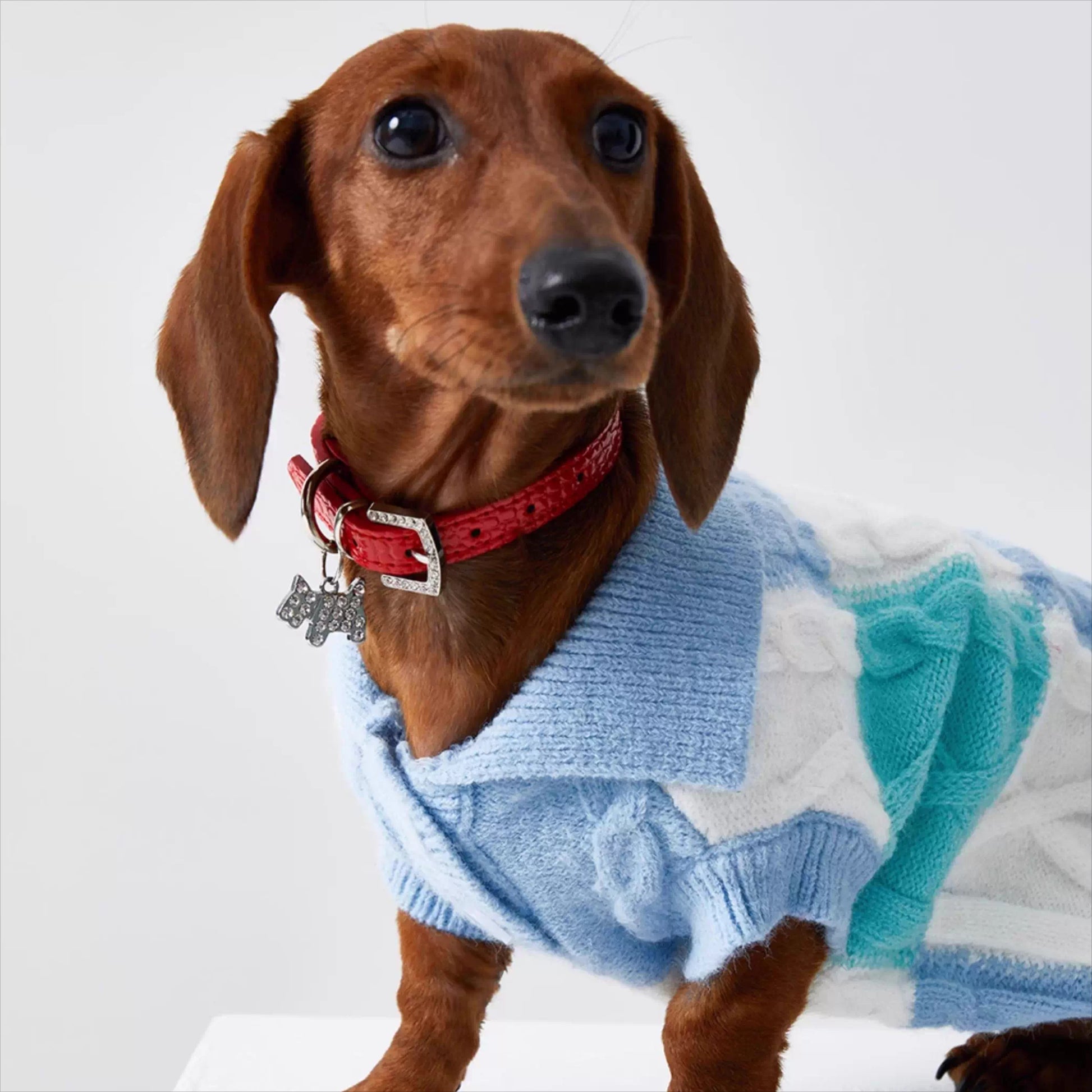 Dachshund Premium Polo Jumper