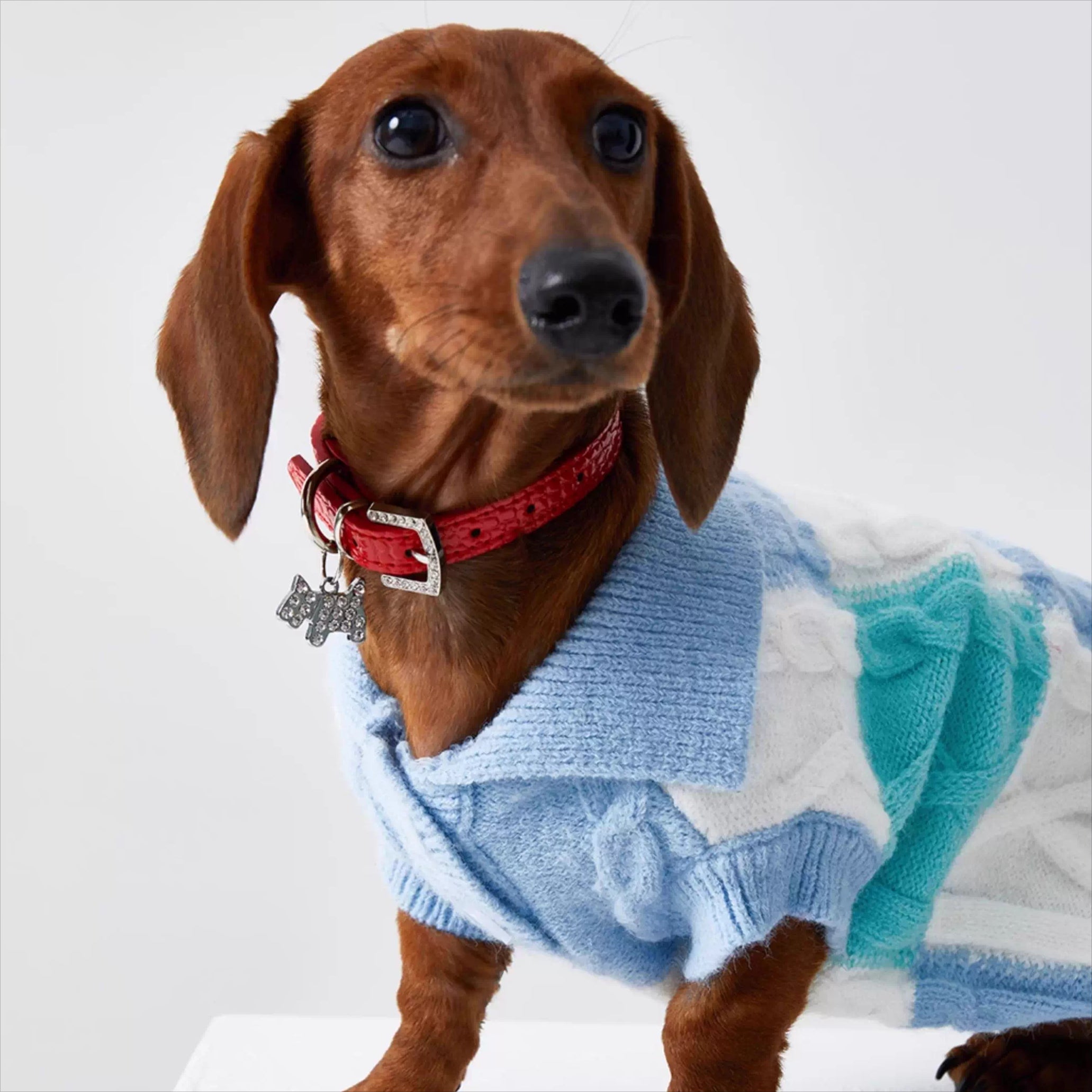 Dachshund Premium Polo Jumper Dog Sweater