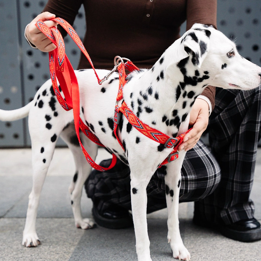 Jacquard No-Pull Adjustable Dog Harness Red / L