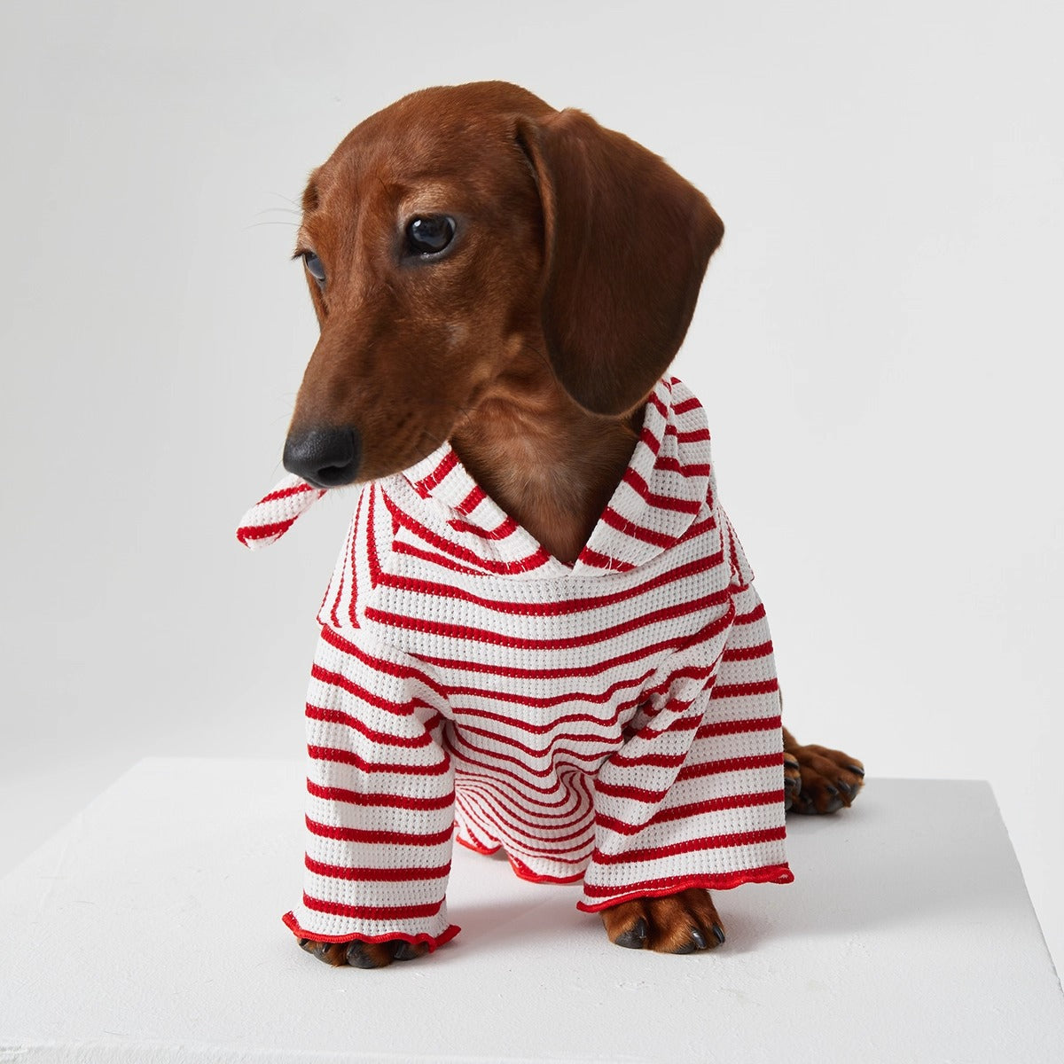 Dachshund Red & Blue Stripe Hoodie Shirt