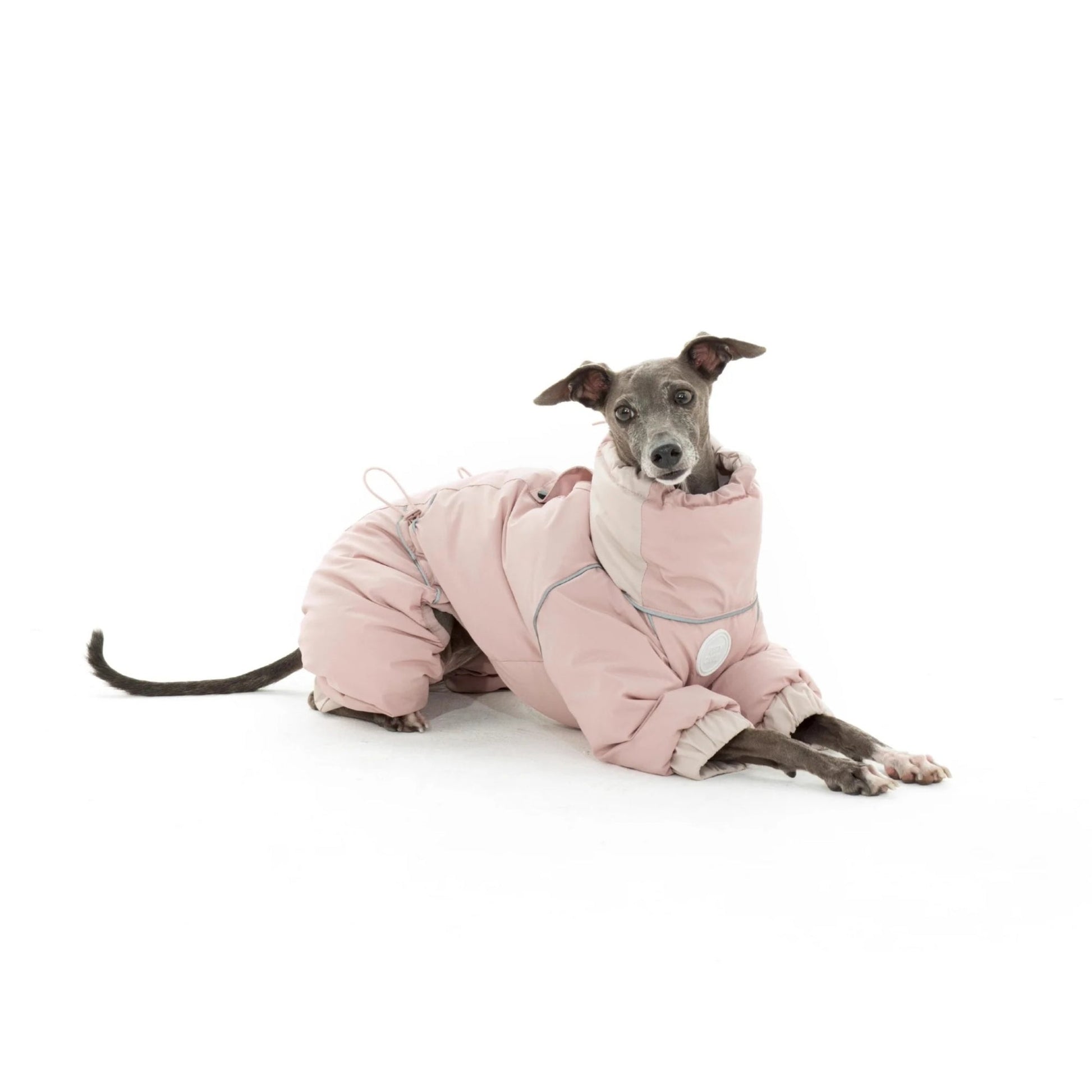 Warm Puffy Waterproof Four-leg Dog Snowsuit