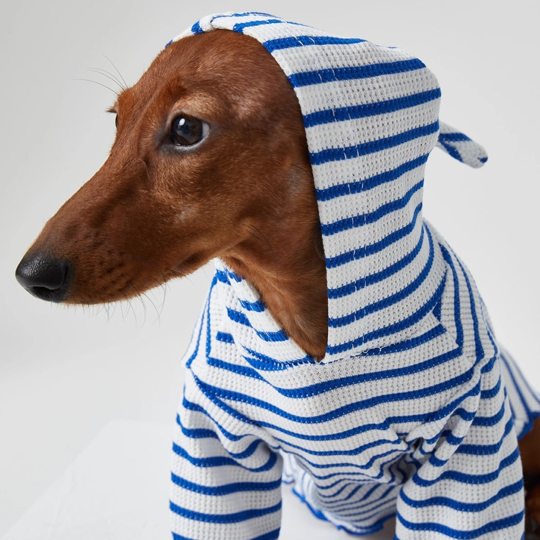 Dachshund Red & Blue Stripe Hoodie