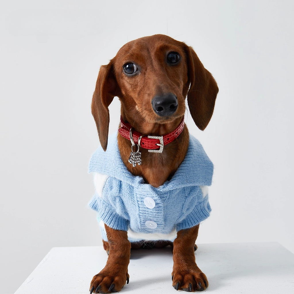 Dachshund Premium Polo Jumper Dog Sweater