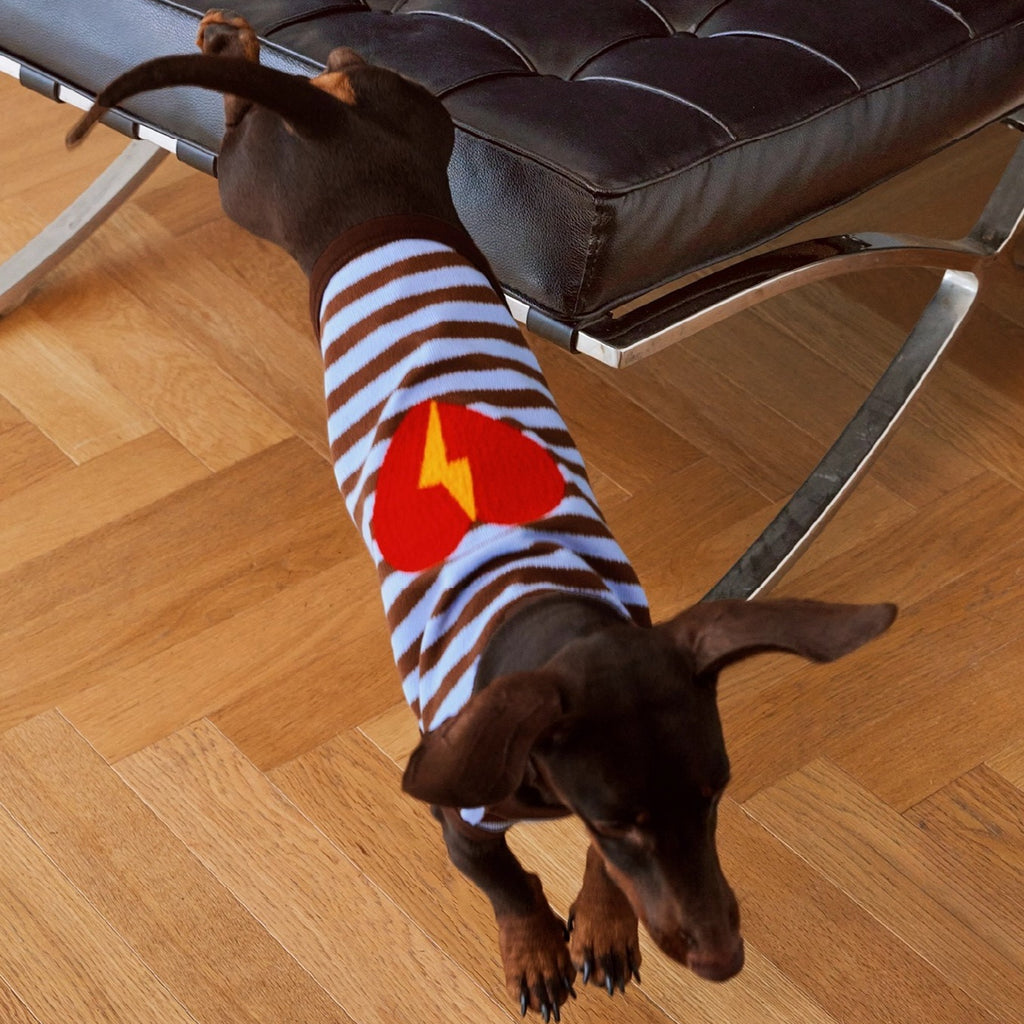 Brown-Blue Stripe Velvet Embroidered Sweater