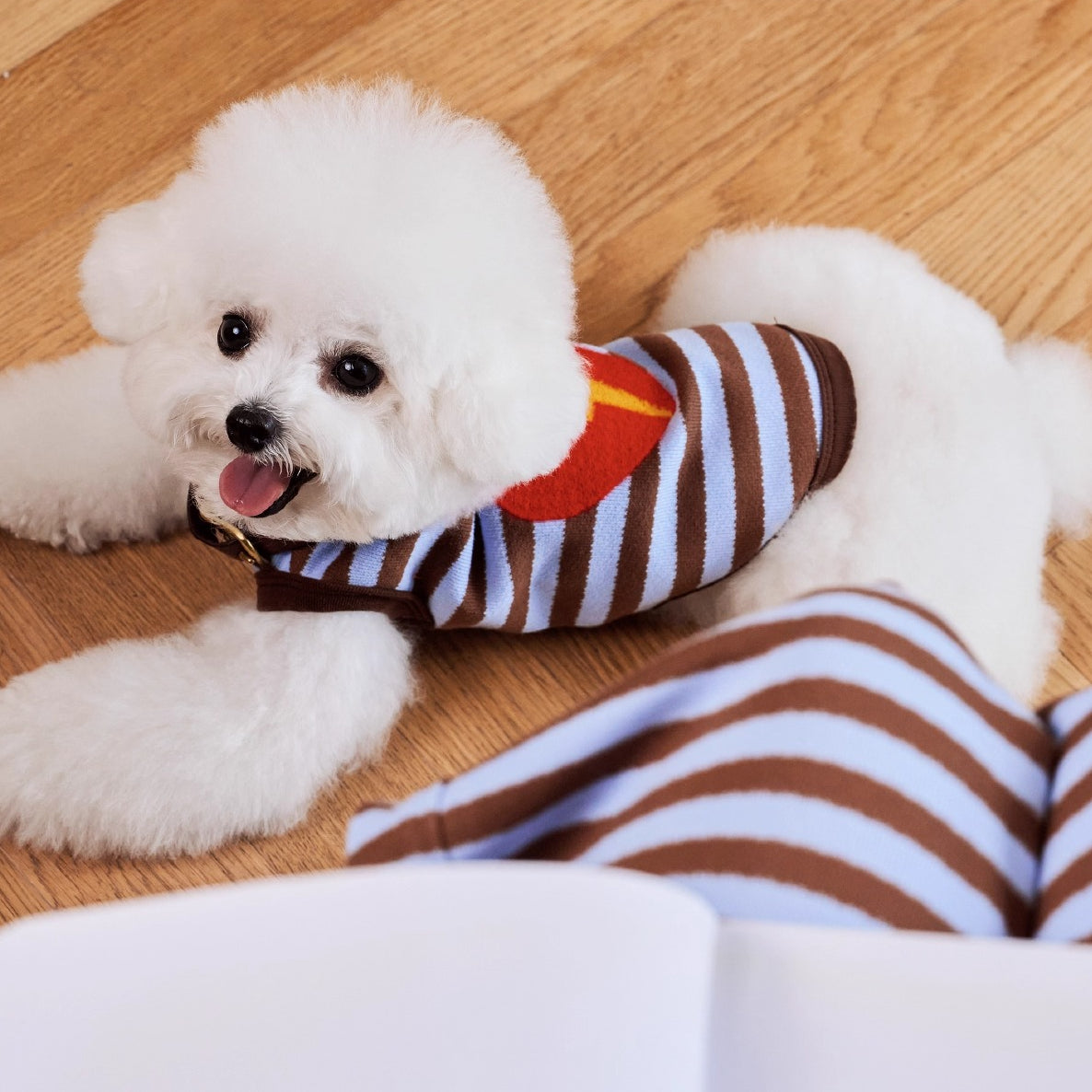 Brown-Blue Stripe Velvet Embroidered Jumper