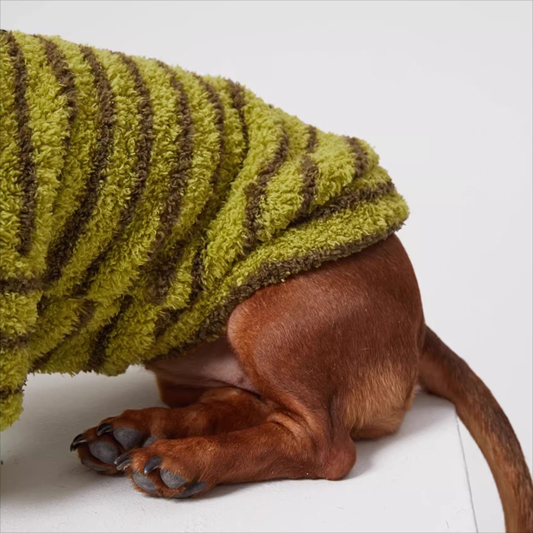 Dachshund Warm Striped Dog Jumper