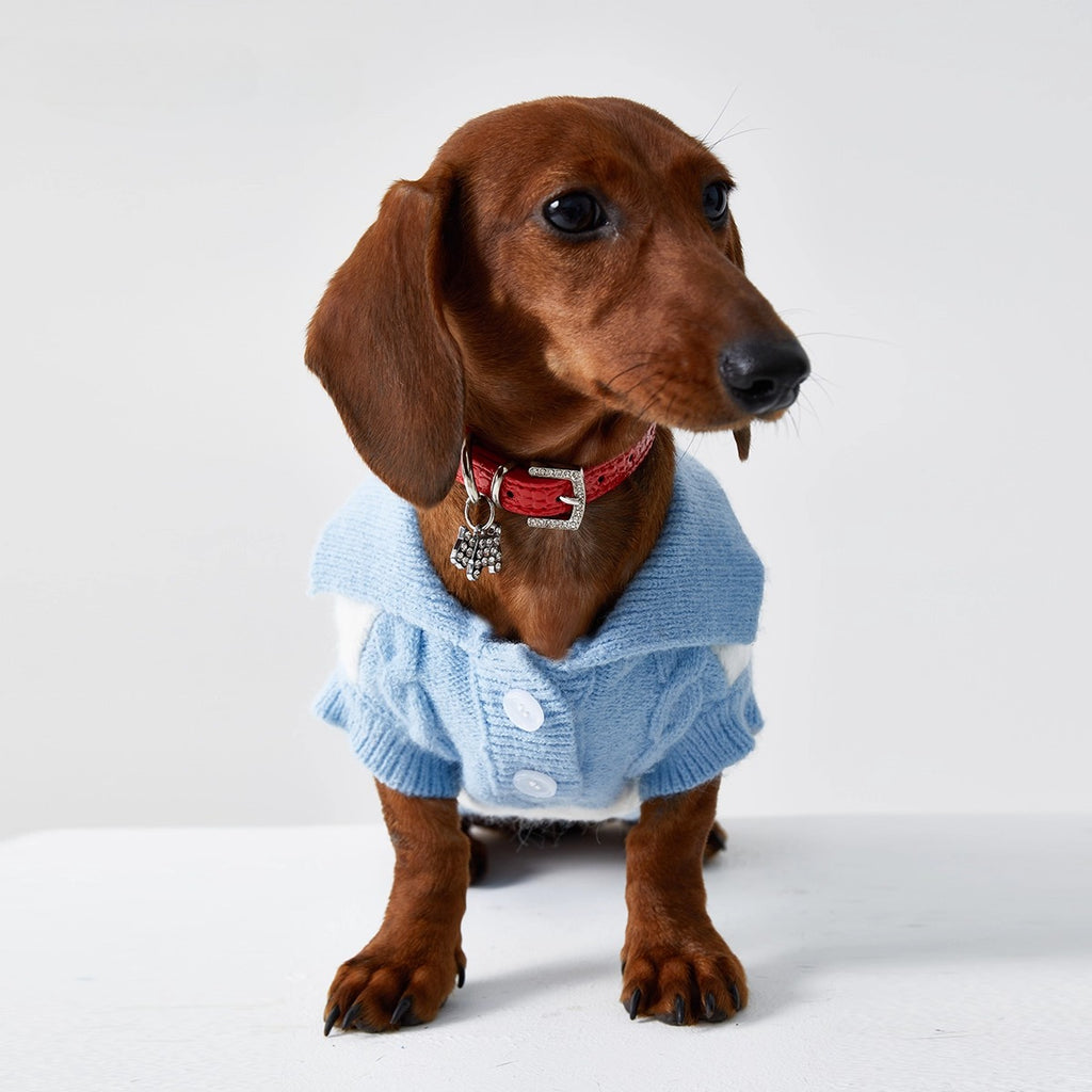 Dachshund Premium Polo Jumper Dog Sweater