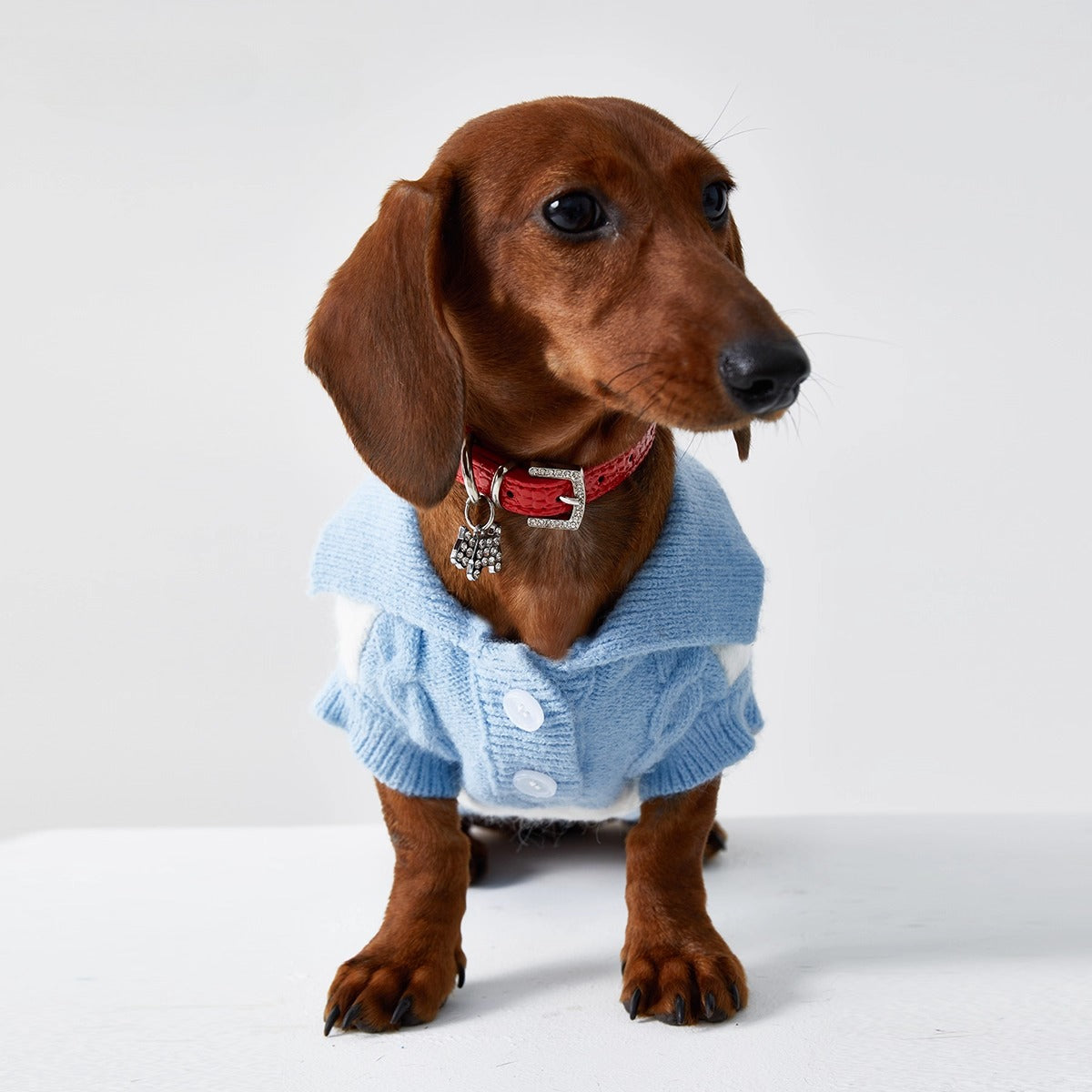 Dachshund Premium Polo Jumper Dog Sweater