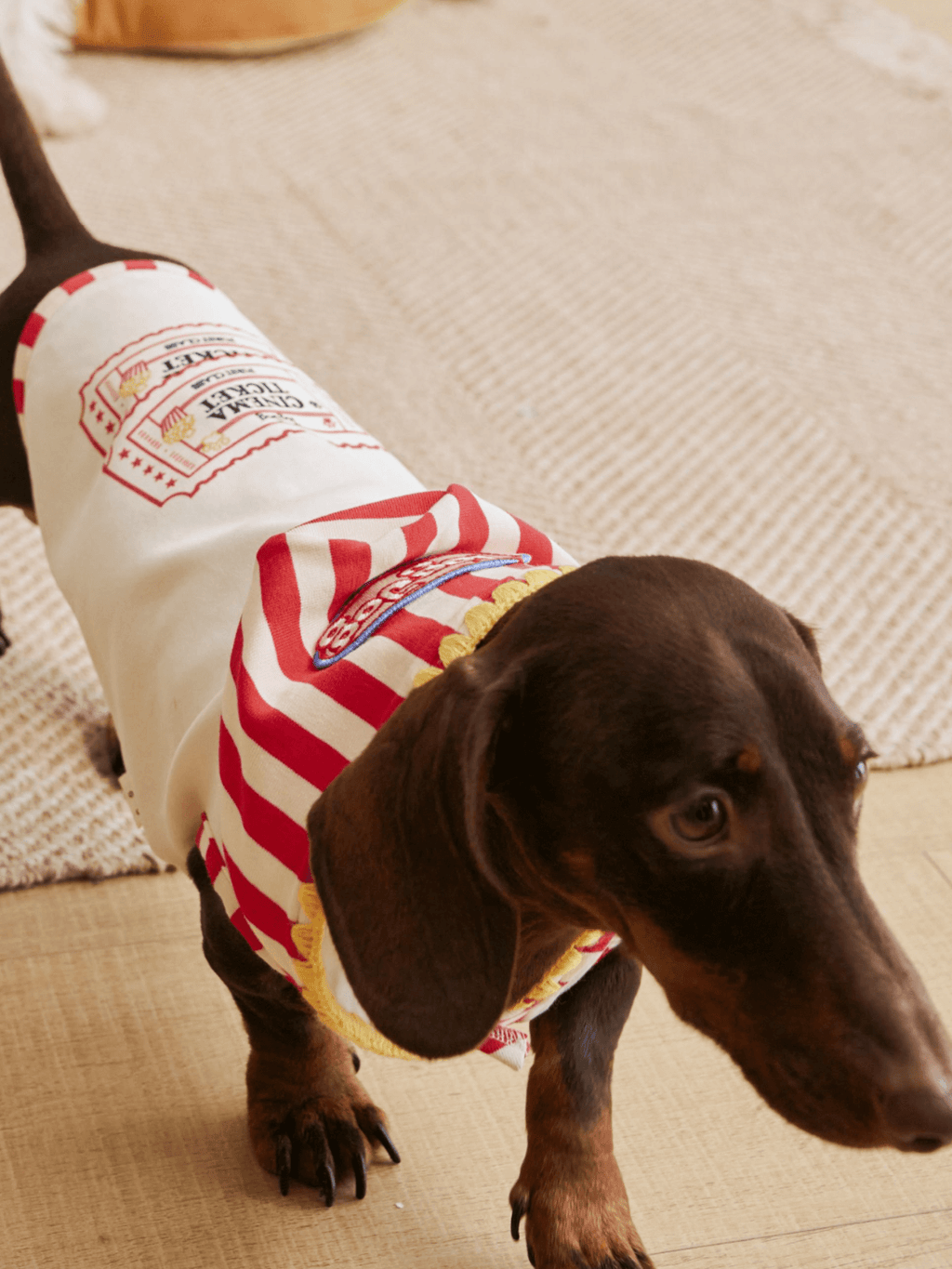 Popcorn Warm Cotton Pet Hoodie