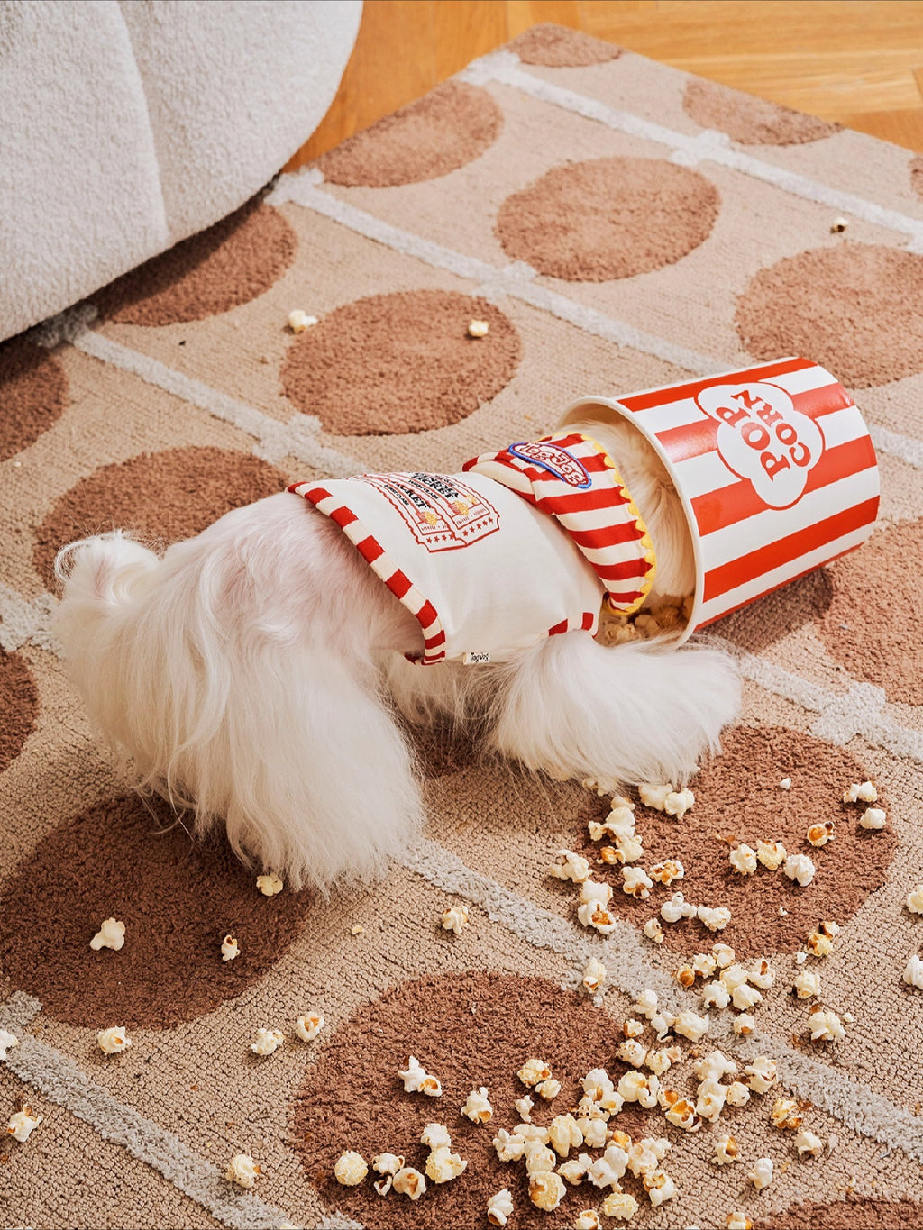 Popcorn Warm Cotton Pet Hoodie
