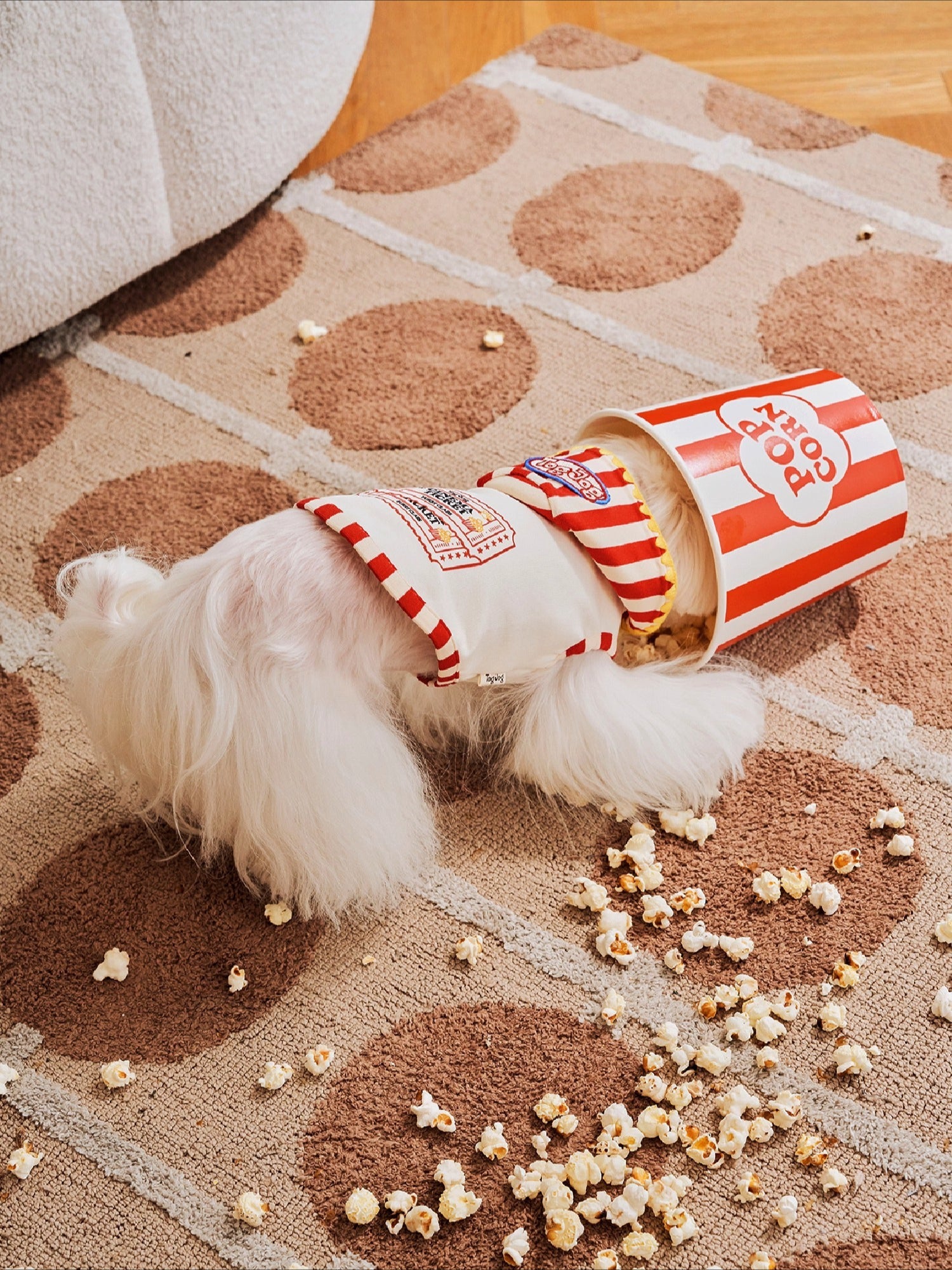 Popcorn Warm Cotton Pet Hoodie