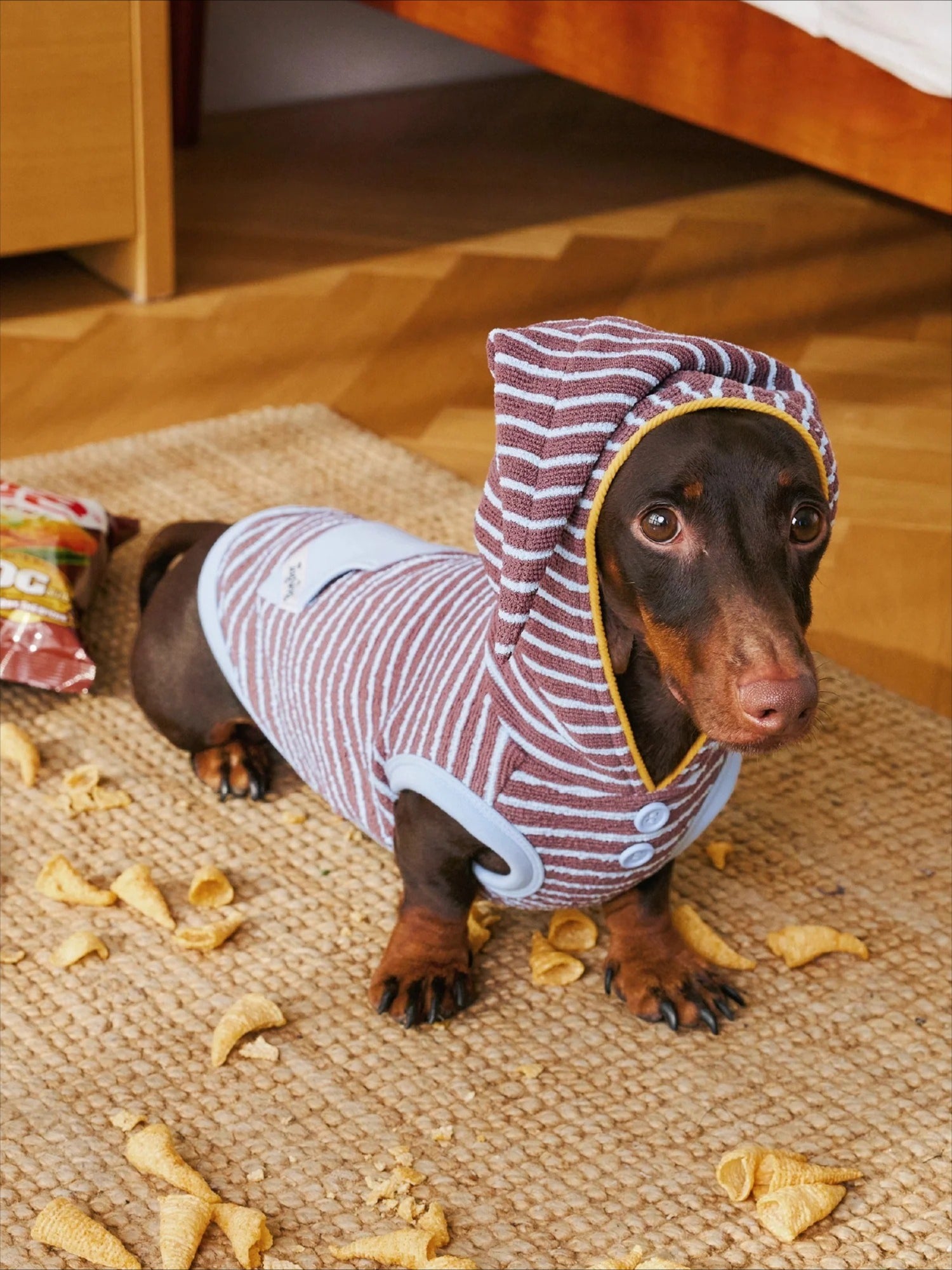 Warm Stripe Pet Hoodie Pajama