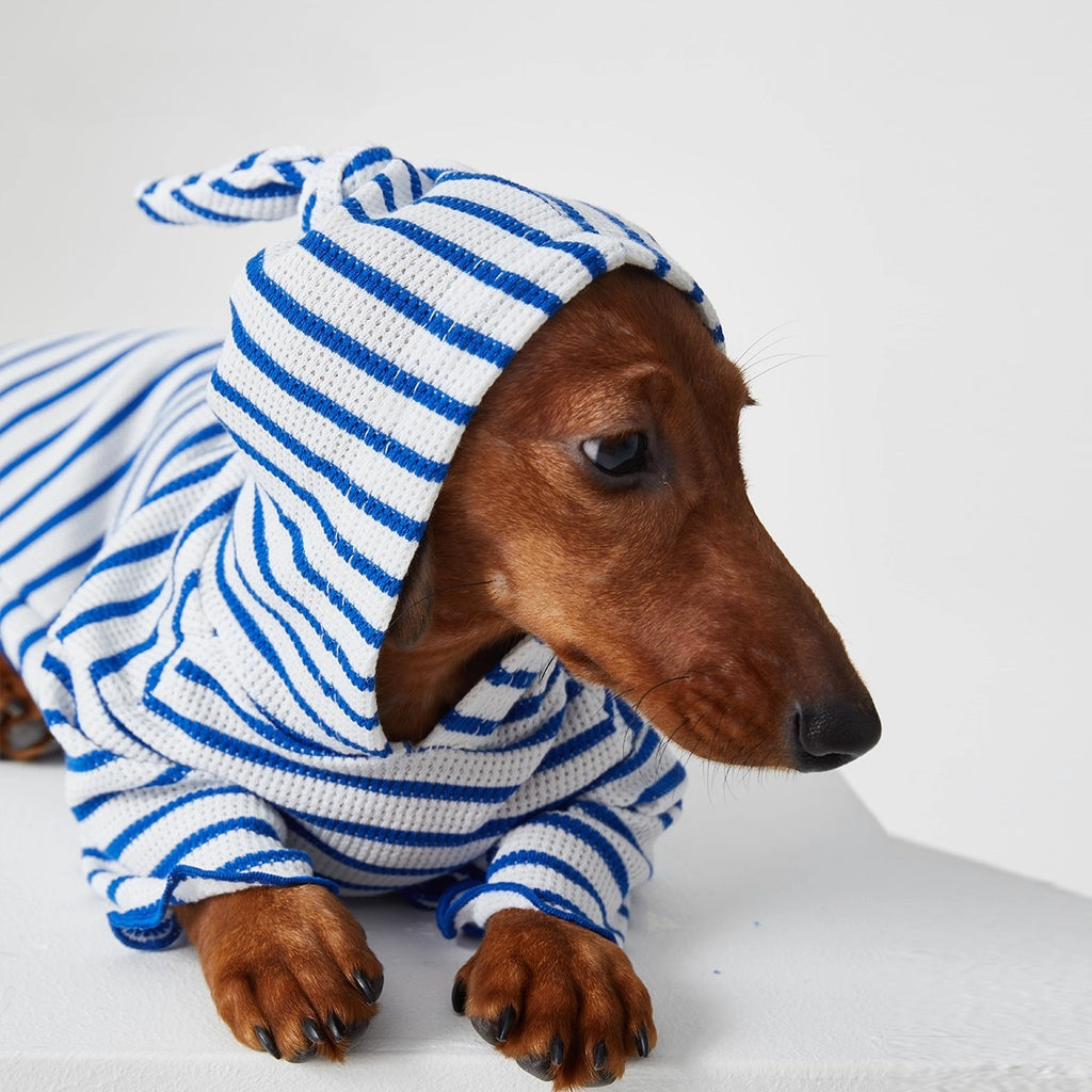 Dachshund Red & Blue Stripe Hoodie