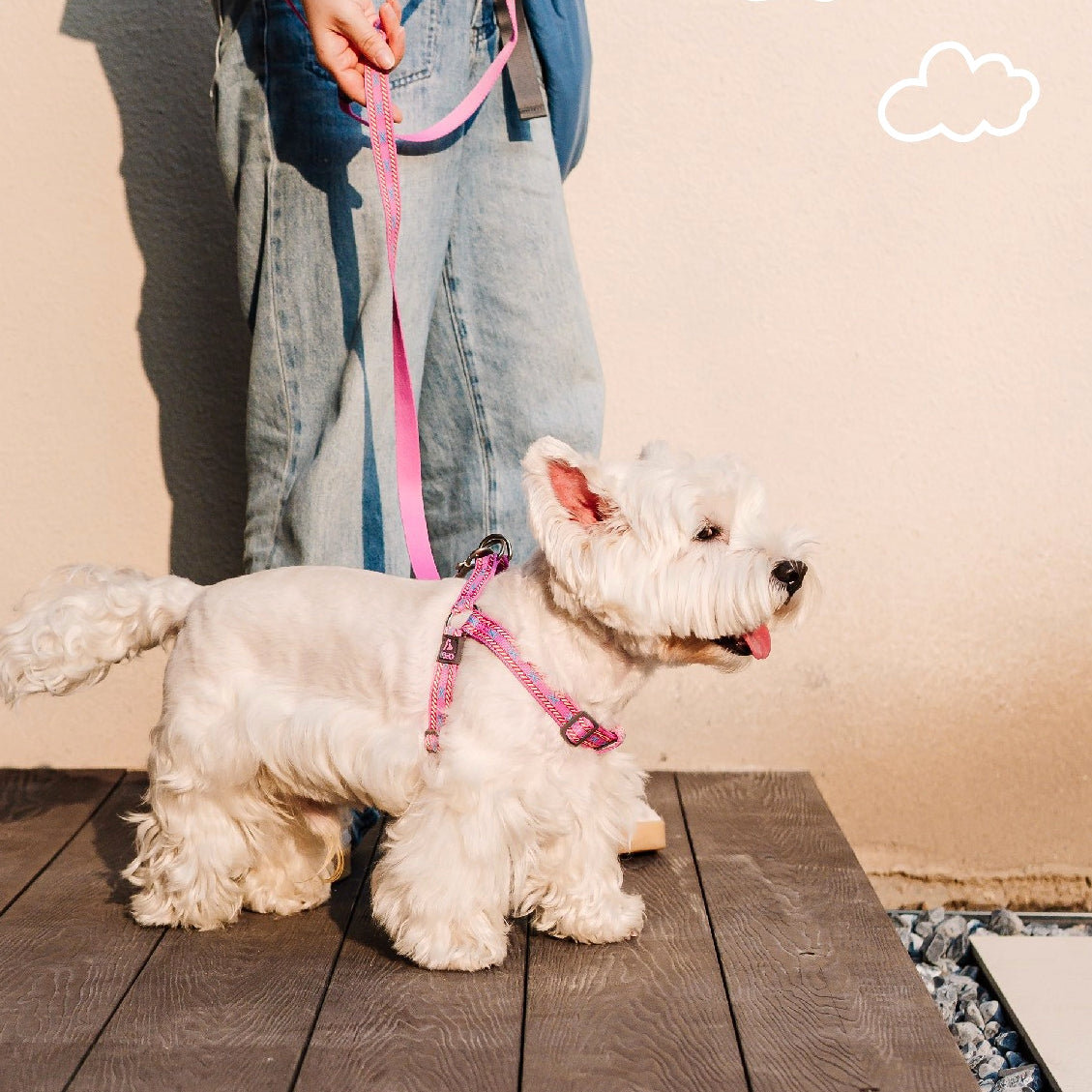 Jacquard No-Pull Adjustable Dog Harness