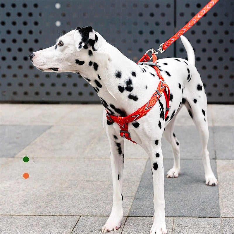 Jacquard Nylon Dog Leash