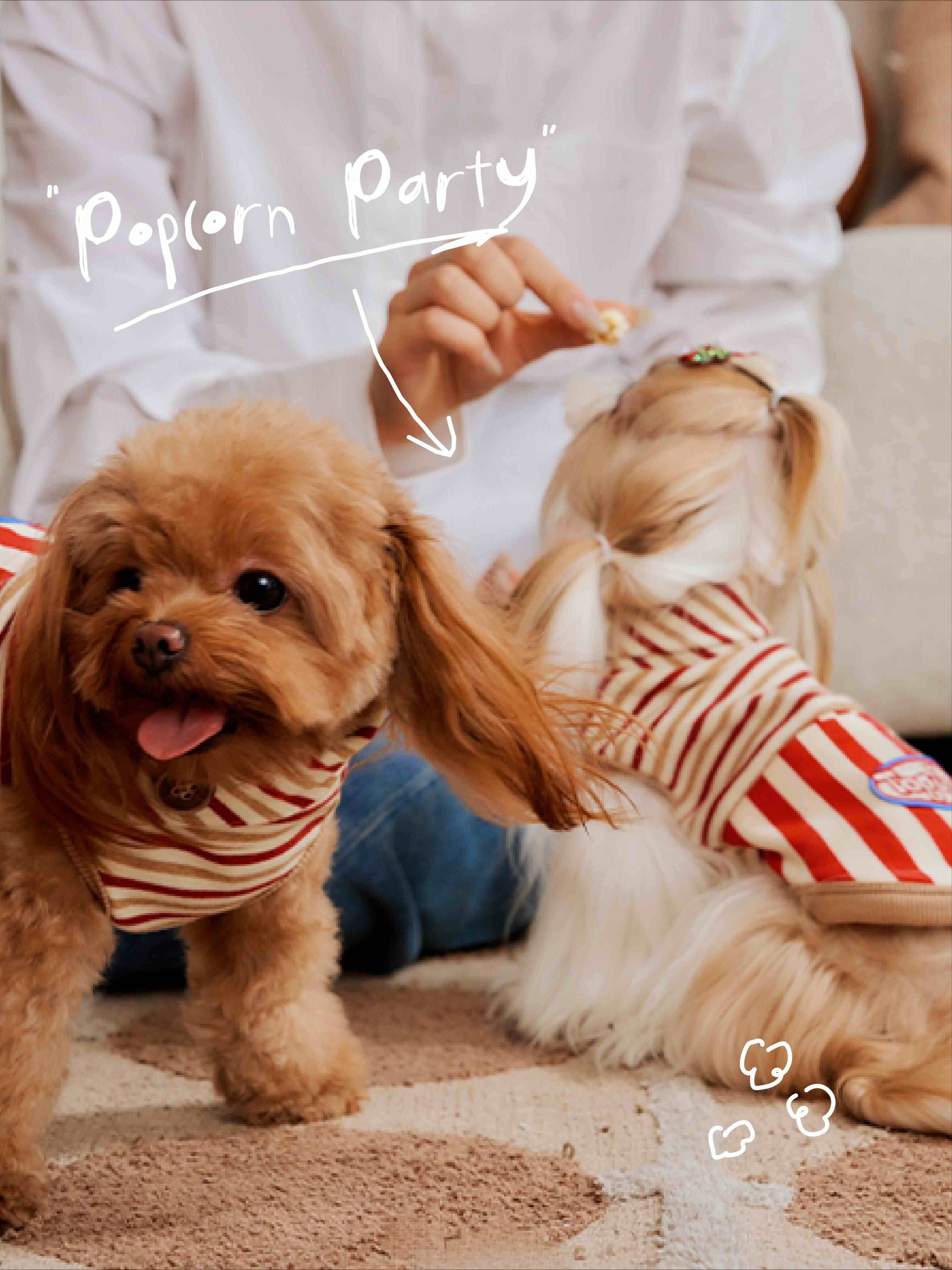 Popcorn Warm Cotton Pet Hoodie