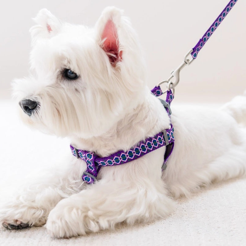Jacquard Nylon Dog Leash