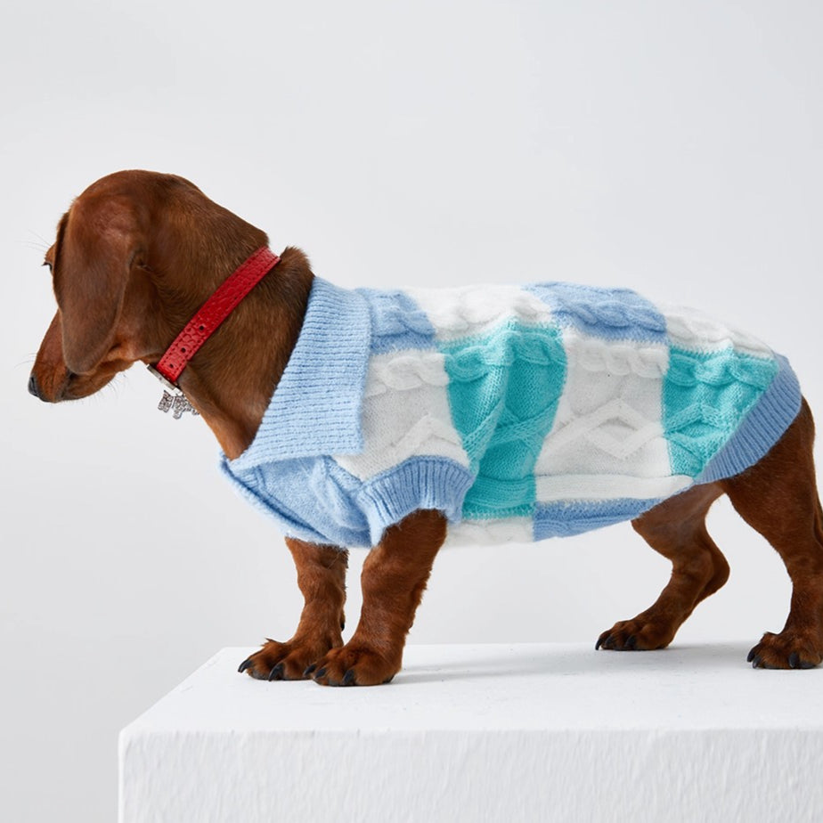 Dachshund Premium Polo Jumper Dog Sweater