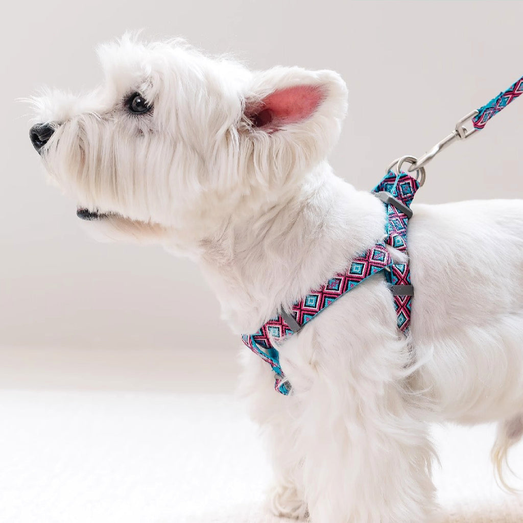 Jacquard Nylon Dog Leash
