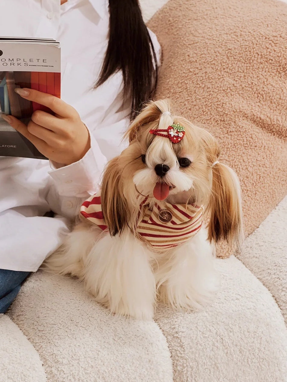 Popcorn Warm Cotton Pet Hoodie