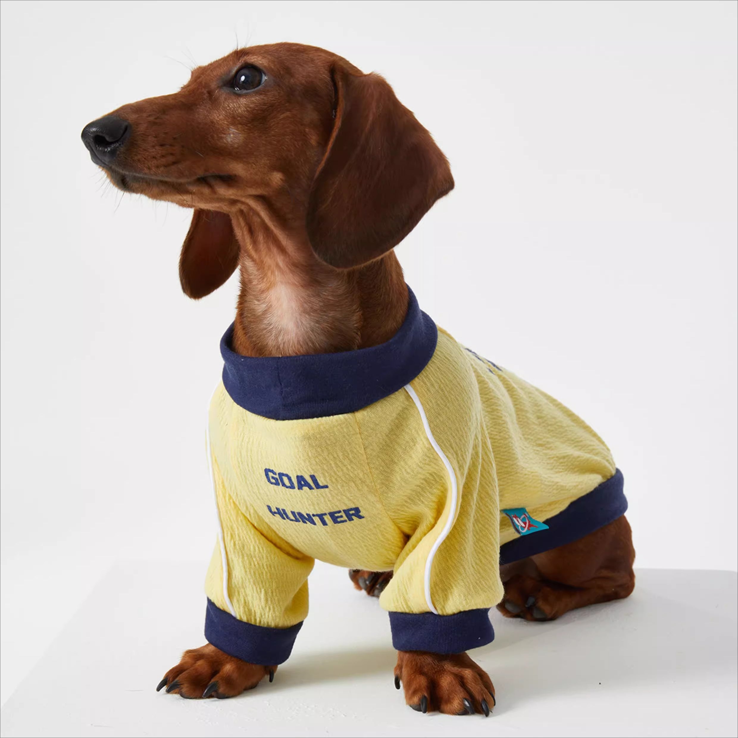 Dachshund Cozy Jersey Dog Clothes