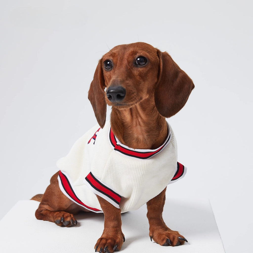 Dachshund Red-White Jumper Dog Clothes