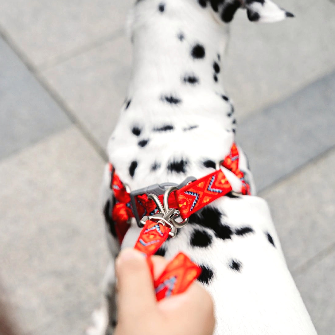 Jacquard Nylon Dog Leash