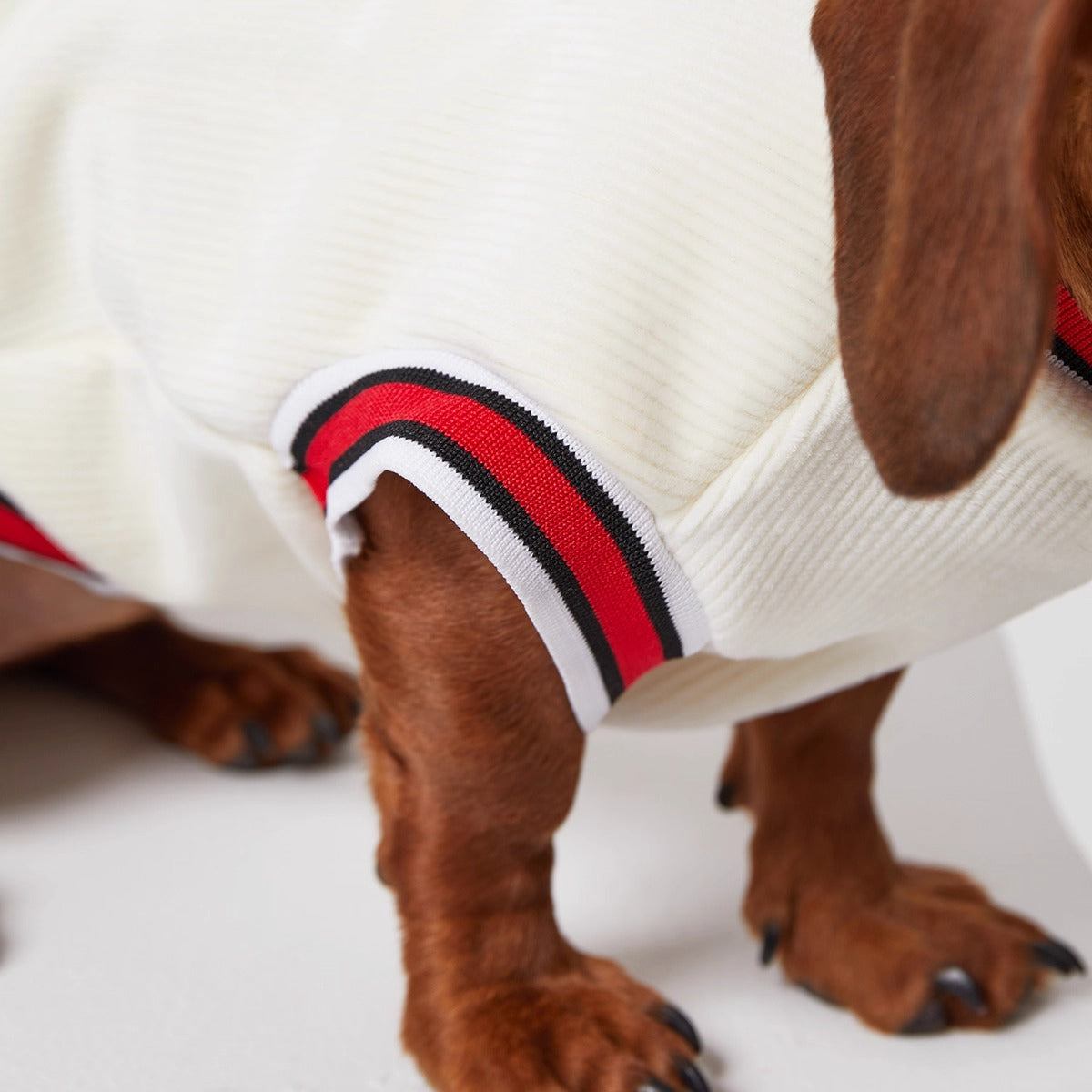 Dachshund Red-White Jumper Dog Sweatshirt