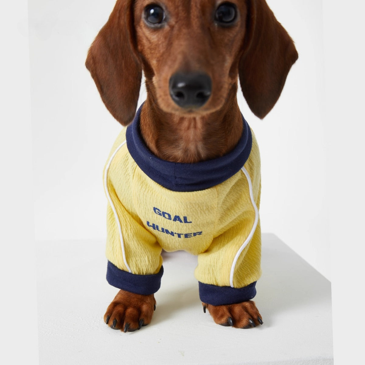 Dachshund Cozy Jersey Dog Clothes