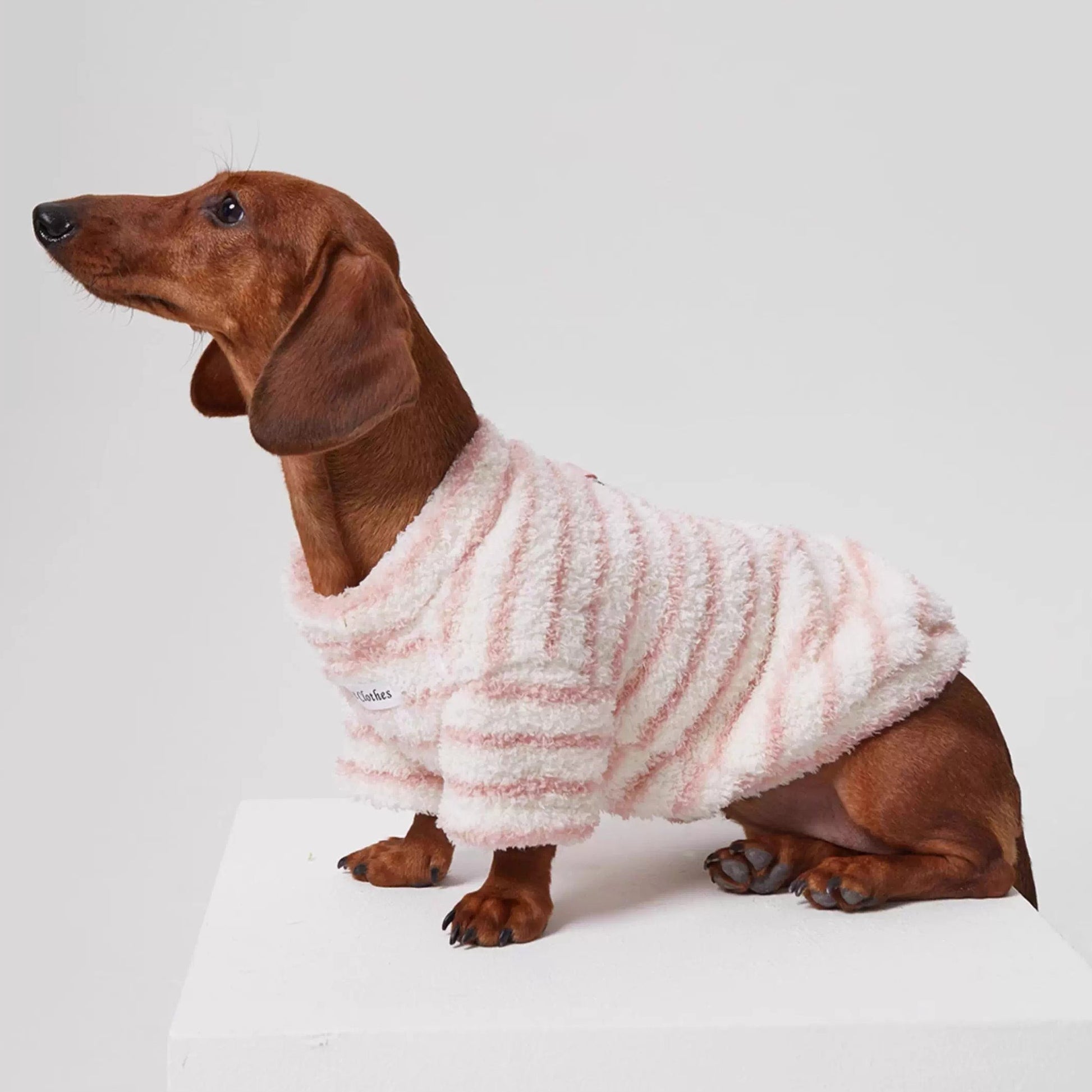 Dachshund Warm Striped Jumper