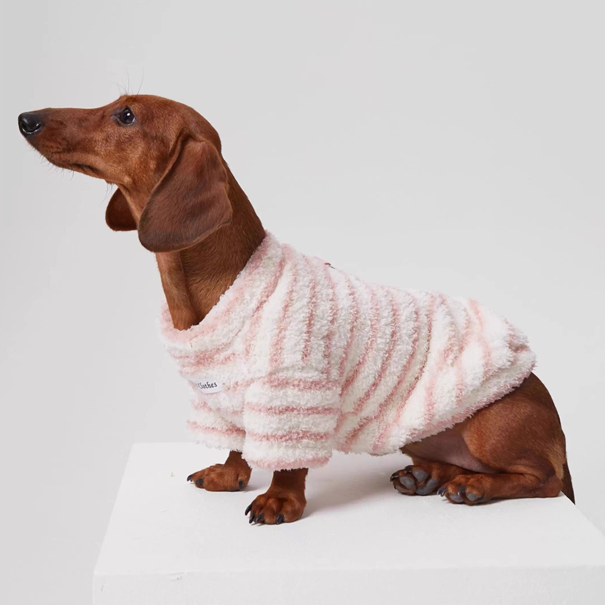 Dachshund Warm Striped Dog Jumper