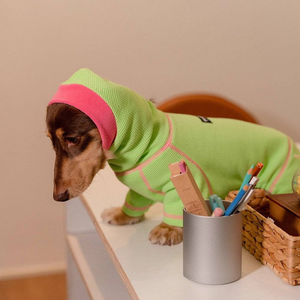 Dachshund Waffle Knit Hoodie Onesie