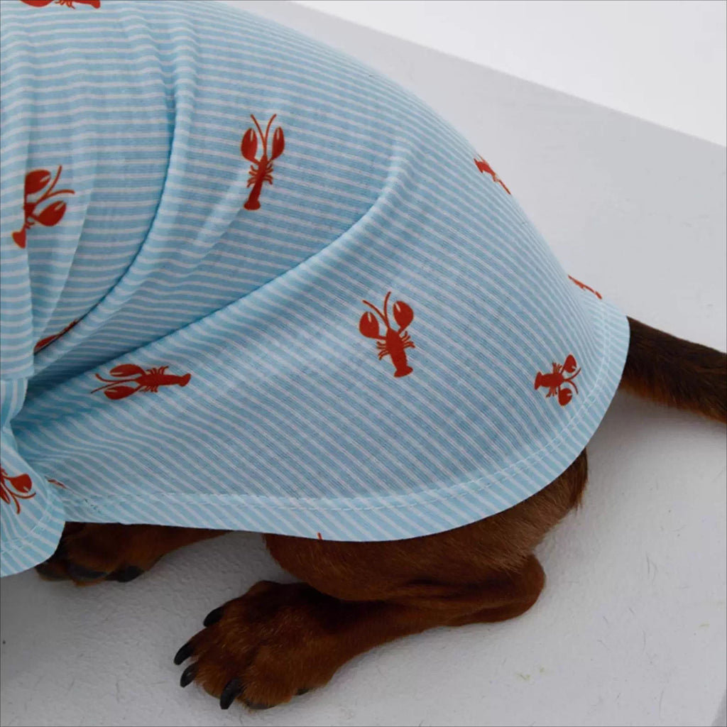 Dachshund POLO Shirt Dog Clothes