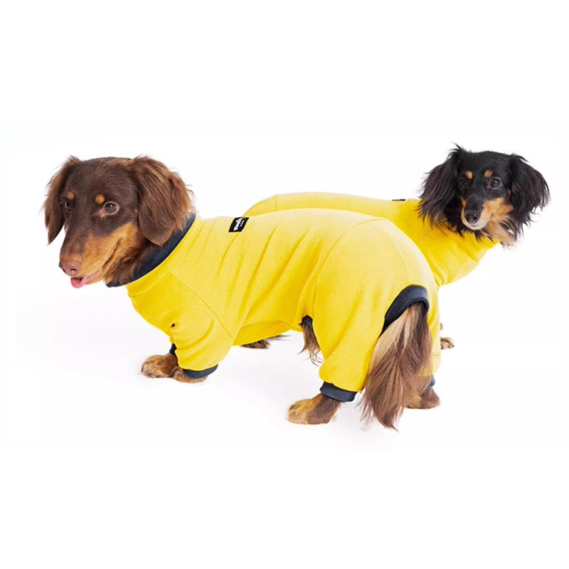 Dachshund Warm Stretchy Onesie