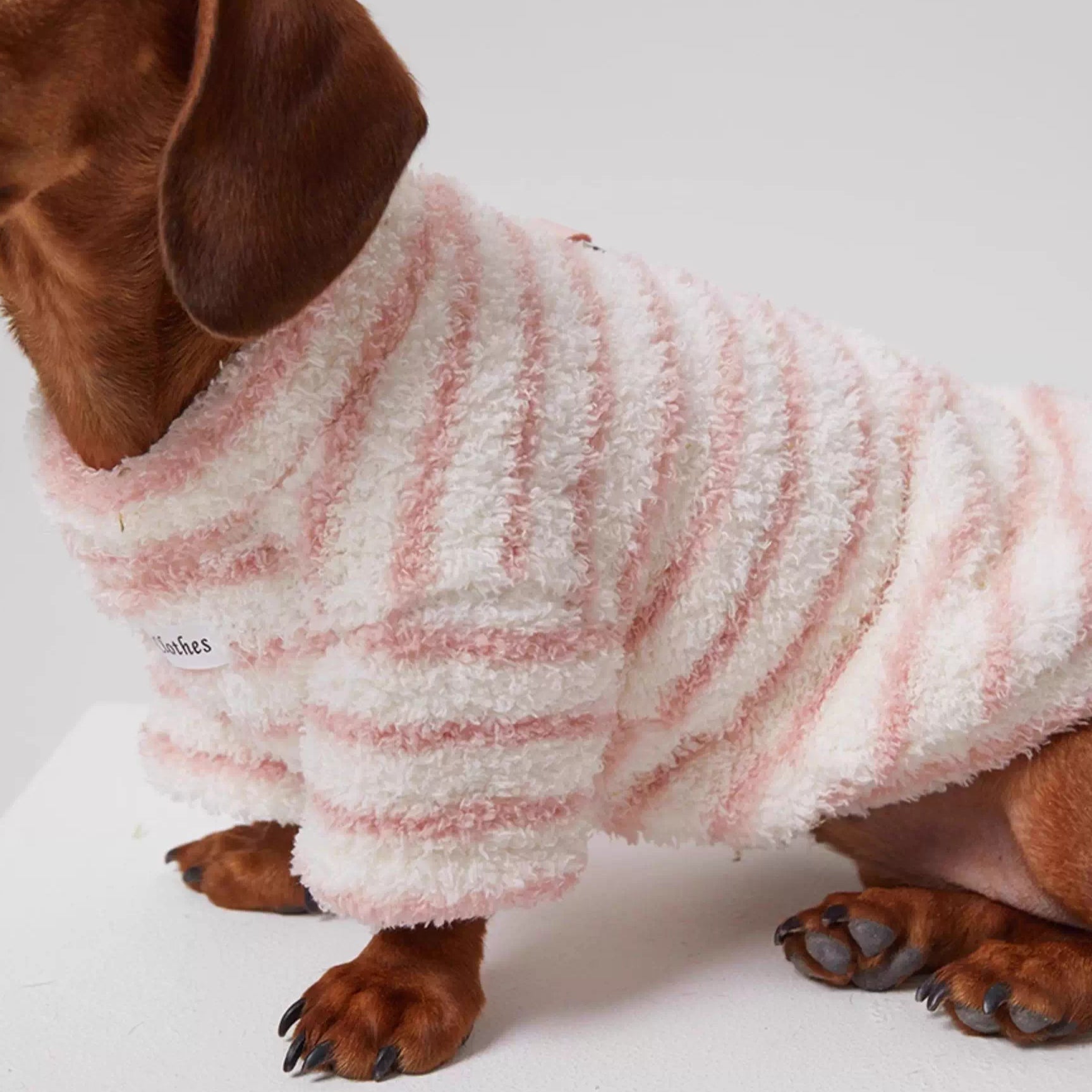 Dachshund Warm Striped Jumper