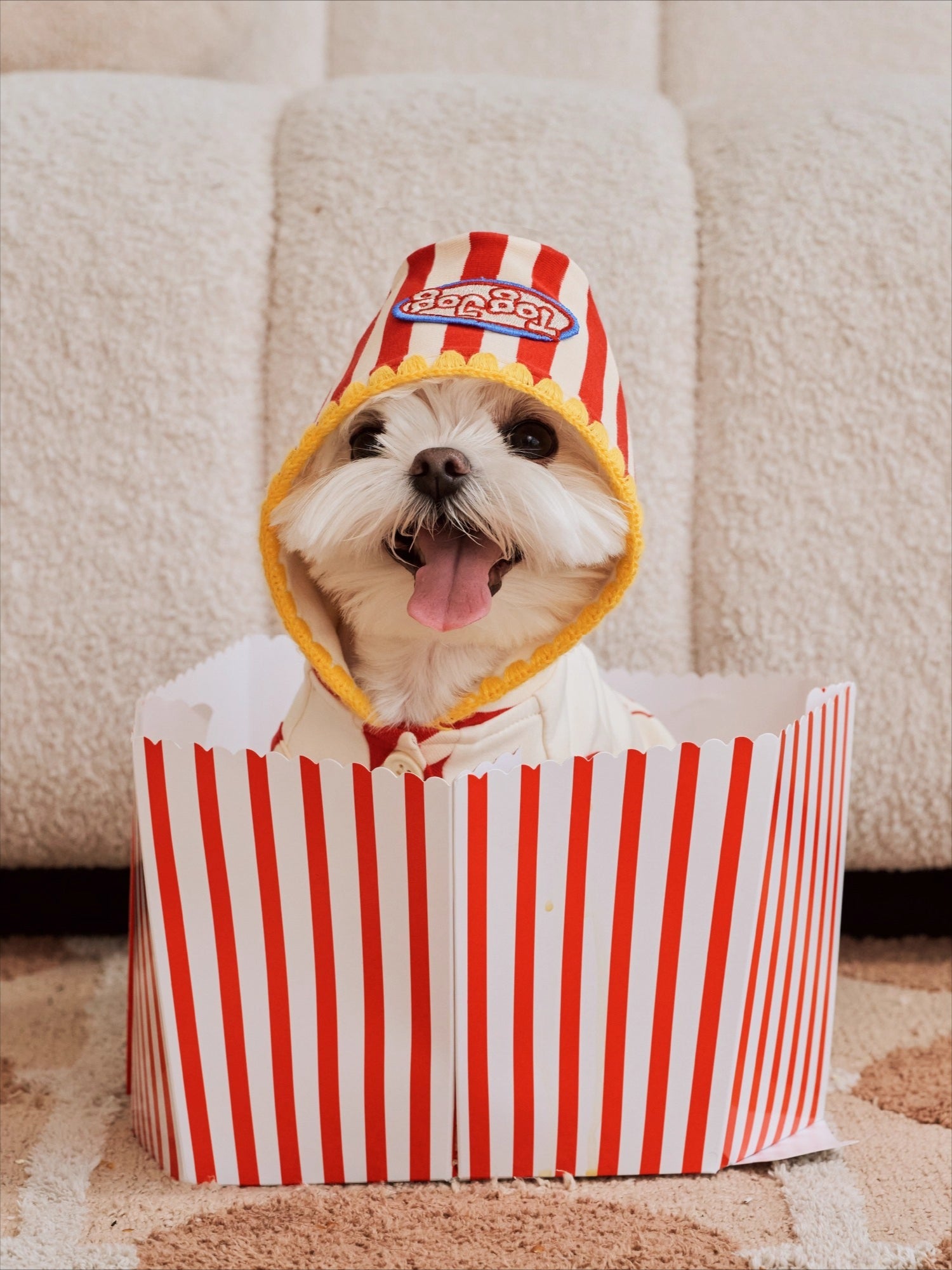 Popcorn Warm Cotton Pet Hoodie