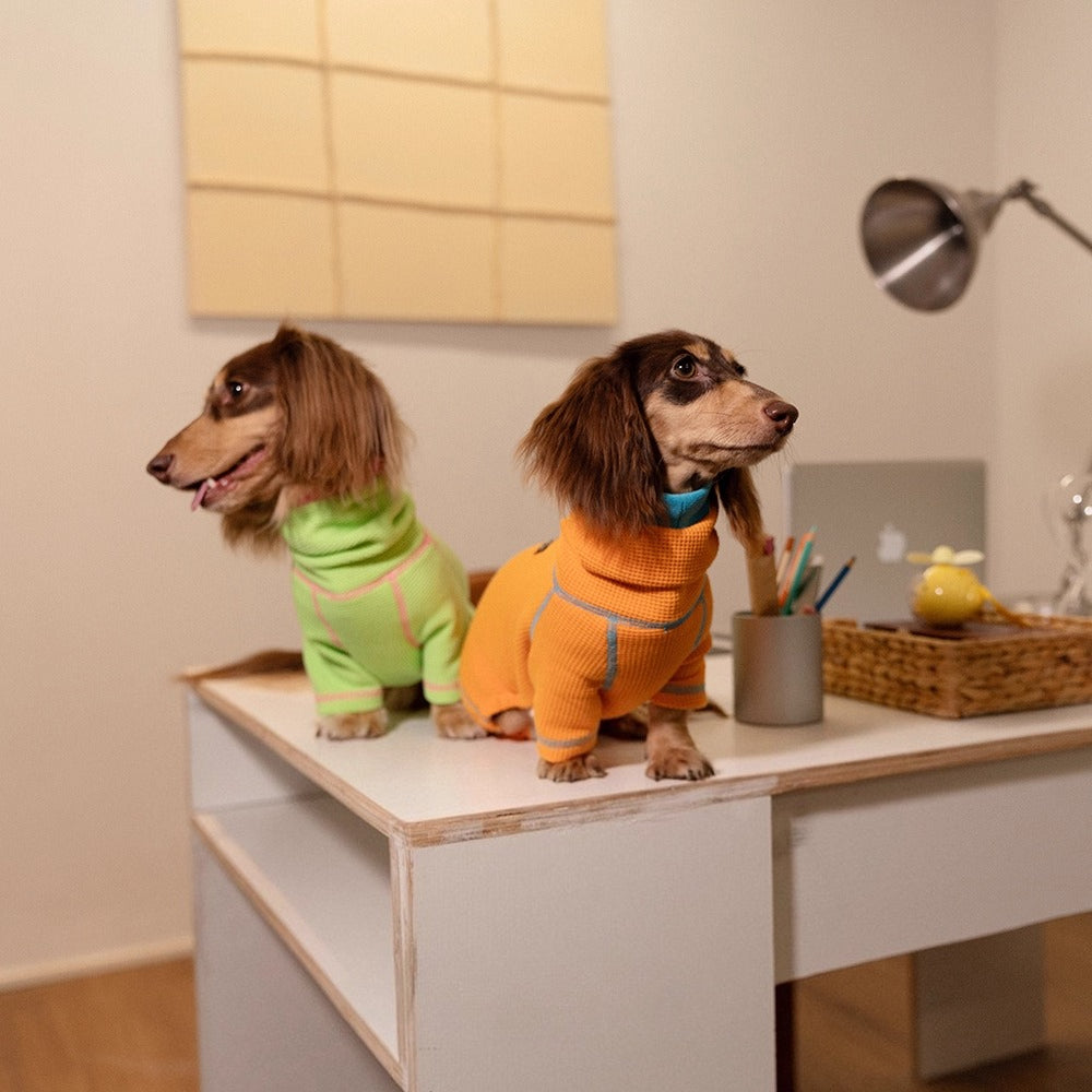 Dachshund Waffle Knit Hoodie Onesie