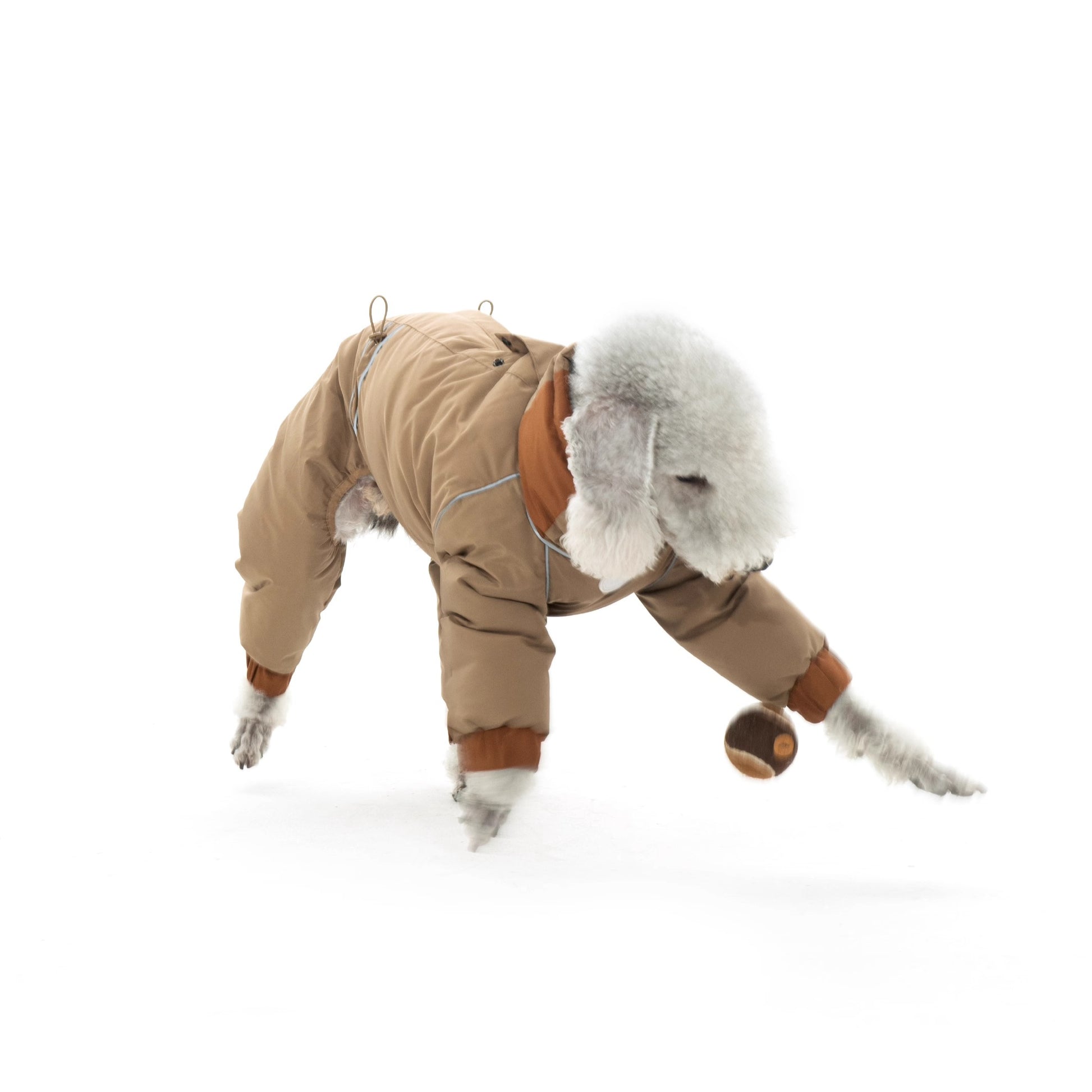 Warm Puffy Waterproof Four-leg Dog Snowsuit